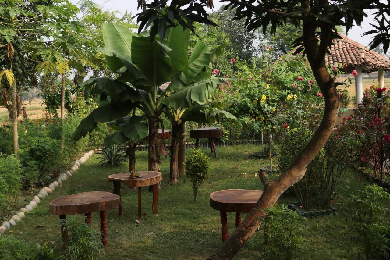 Bardia Eco Friendly Homestay Bardiya Bagian luar foto